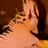 Monsterpalooza